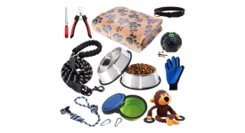 Pet Accessories