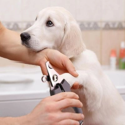 Three-in-One Pet Grooming Comb Claw Clippers for Cats & Dogs