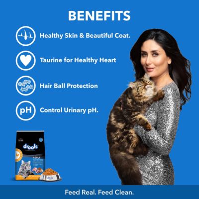 Drools Adult Dry Cat Food - Real Chicken (3kg)