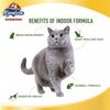 Kaniva Indoor Formula Cat Food - Salmon, Turkey & Rice for All Ages (2.8kg) - image 4