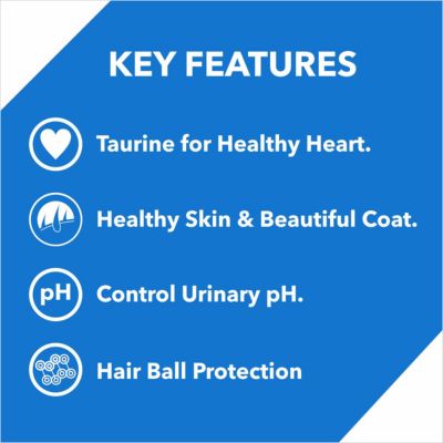 Drools Kitten Dry Cat Food Ocean Fish (3kg)