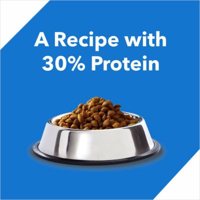 Drools Kitten Dry Cat Food Ocean Fish (3kg)