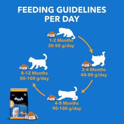 Drools Kitten Dry Cat Food - Real Chicken (3kg)