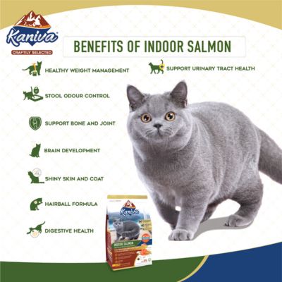 Kaniva Indoor Formula Cat Food Chicken, Salmon & Rice for All Ages (2.8kg)