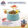 Kaniva Indoor Formula Cat Food Chicken, Salmon & Rice for All Ages (2.8kg) - image 3