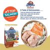 Kaniva Indoor Formula Cat Food Chicken, Salmon & Rice for All Ages (2.8kg) - image 5